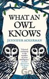 What an Owl Know
