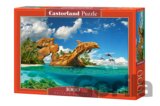 Dolphin Paradise
