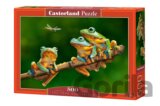 The Frog Companions
