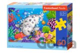 On the Coral Reef