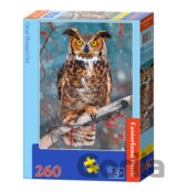 Great Horned Owl