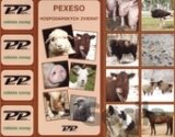 Pexeso - hospodárske zvieratá