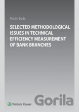 Selected Methodological Issues in Technical Efficiency Measurement of Bank Branches