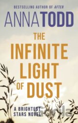 The Infinite Light of Dust