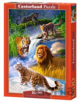 Big Cats