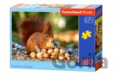 Squirrel in Paradise
