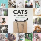 Cats on Instagram