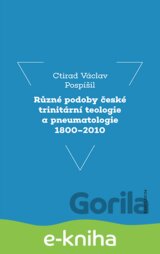 Různé podoby české trinitární teologie a pneumatologie 1800-2010