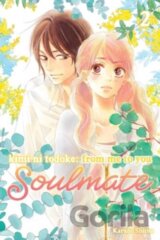 Kimi ni Todoke: From Me to You: Soulmate 2