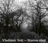 Vladimír Veit: Starou alejí