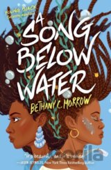 A Song Below Water