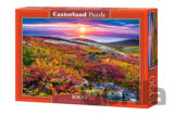 Northern Palette