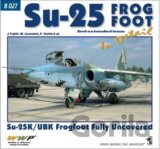 Su-25 Frogfoot in detail (2. rozšířené vydání)