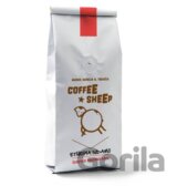 Ethiopia Sidamo