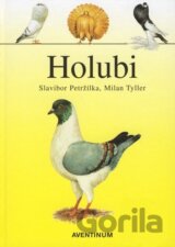 Holubi