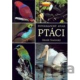 Ptáci