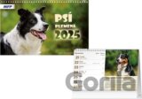 Psí plemena 2025 - stolní kalendář