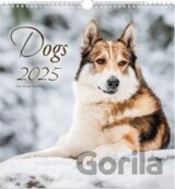 Dogs 2025 - nástěnný kalendář