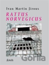 Rattus norvegicus