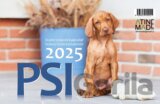 Kalendář 2025 Psi, stolní, týdenní