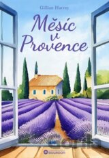 Měsíc v Provence