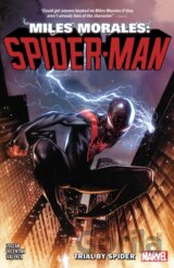 Miles Morales Spiderman 1