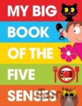 My Big Book of the Five Senses
