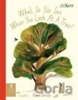 What Do You See When You Look At a Tree?