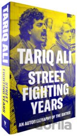 Street Fighting Years