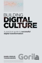 Building Digital Culture