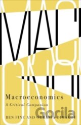 Macroeconomics A Critical Companion