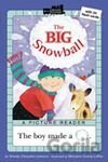 Big Snowball lvl Picture Reader