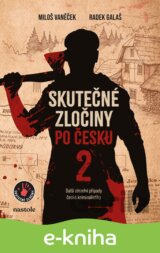 Skutečné zločiny po česku 2