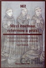 Mezi normou, reformou a praxí