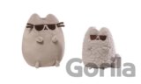 Pusheen a Stormy v okuliaroch