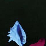 New Order: Touched By The Hand Of God 12 “ LP