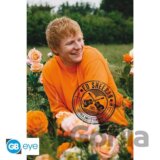 Ed Sheeran Plagát Maxi: Rose Field
