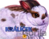 Králíček