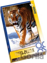 Sibírsky tiger