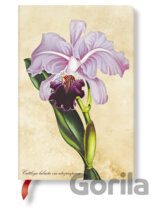 Paperblanks - zápisník Brazilian Orchid