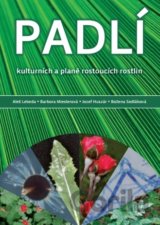 Padlí