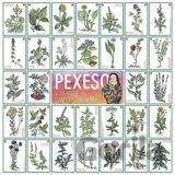 Pexeso - V záhrade svätej Hildegardy