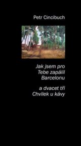 Jak jsem pro tebe zapálil Bercelonu