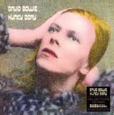 Oficiálny zberateľský nástenný kalendár 2025: David Bowie - Alladin Sane LP replika