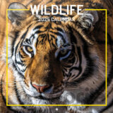 Oficiálny nástenný kalendár 2025 16 mesiacov: Wild Life