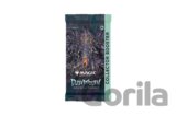 Magic The Gathering: Duskmourn: House of Horrors - Collector´s Booster