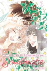 Kimi Ni Todoke From Me To You Soulmate 3