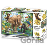 Junior Jungle