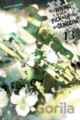 Is It Wrong to Try to Pick Up Girls in a Dungeon? 13