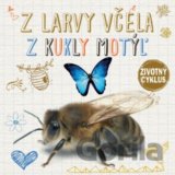 Životný cyklus – Z larvy včela, z kukly motýľ
